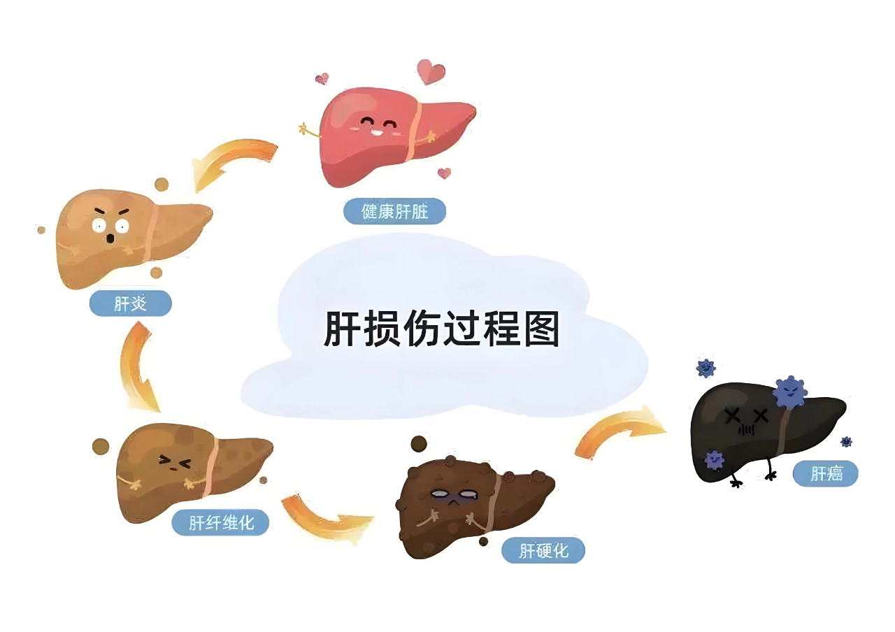 3497ca661c064ef320eb31137ec9becd.png